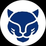 Panther Armor Anti-Scratch Furniture Protectors